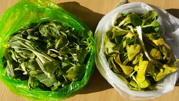 可降解塑料袋能不能放冰箱？